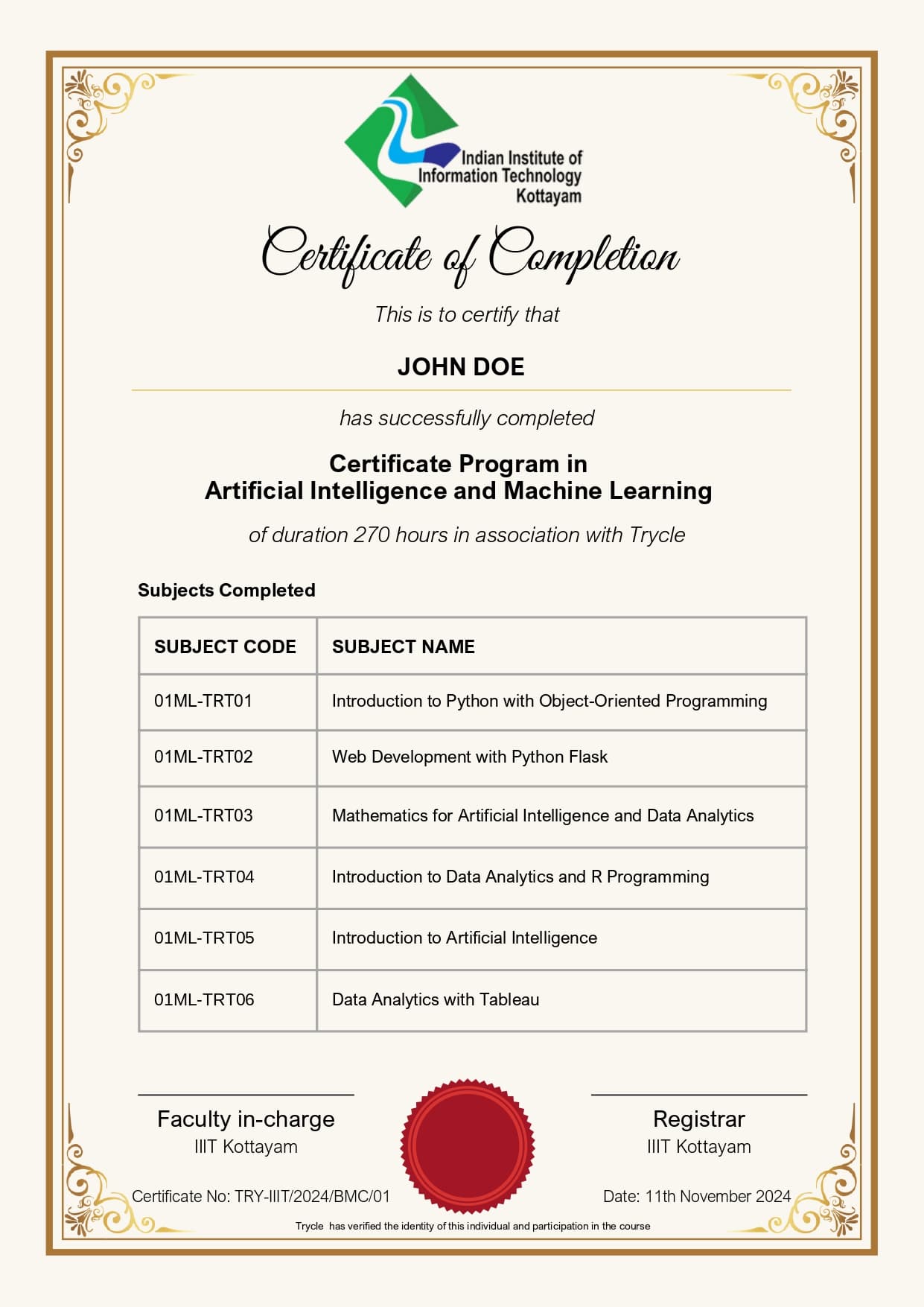 Sample program completion certificate